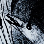 EDITION-DVD-L'OISEAU - SAMUEL-YAL-01