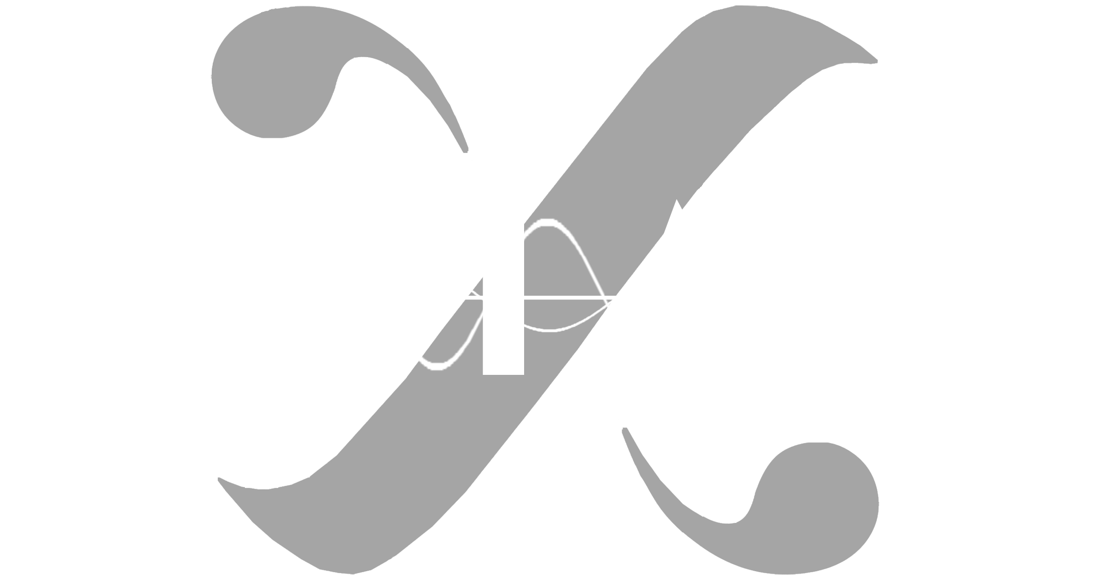 NEWS-Logo ANIMA